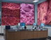 Revolutionizing Cancer Care: Advances in Tumor Profiling